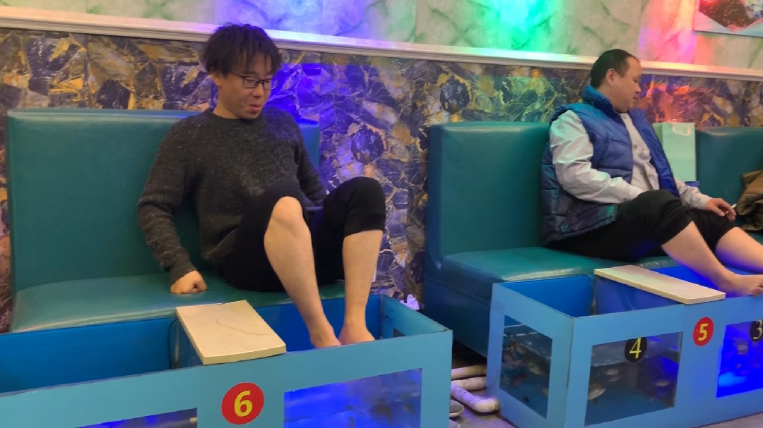大少首次去鱼疗!不知道会不会把鱼熏晕?
