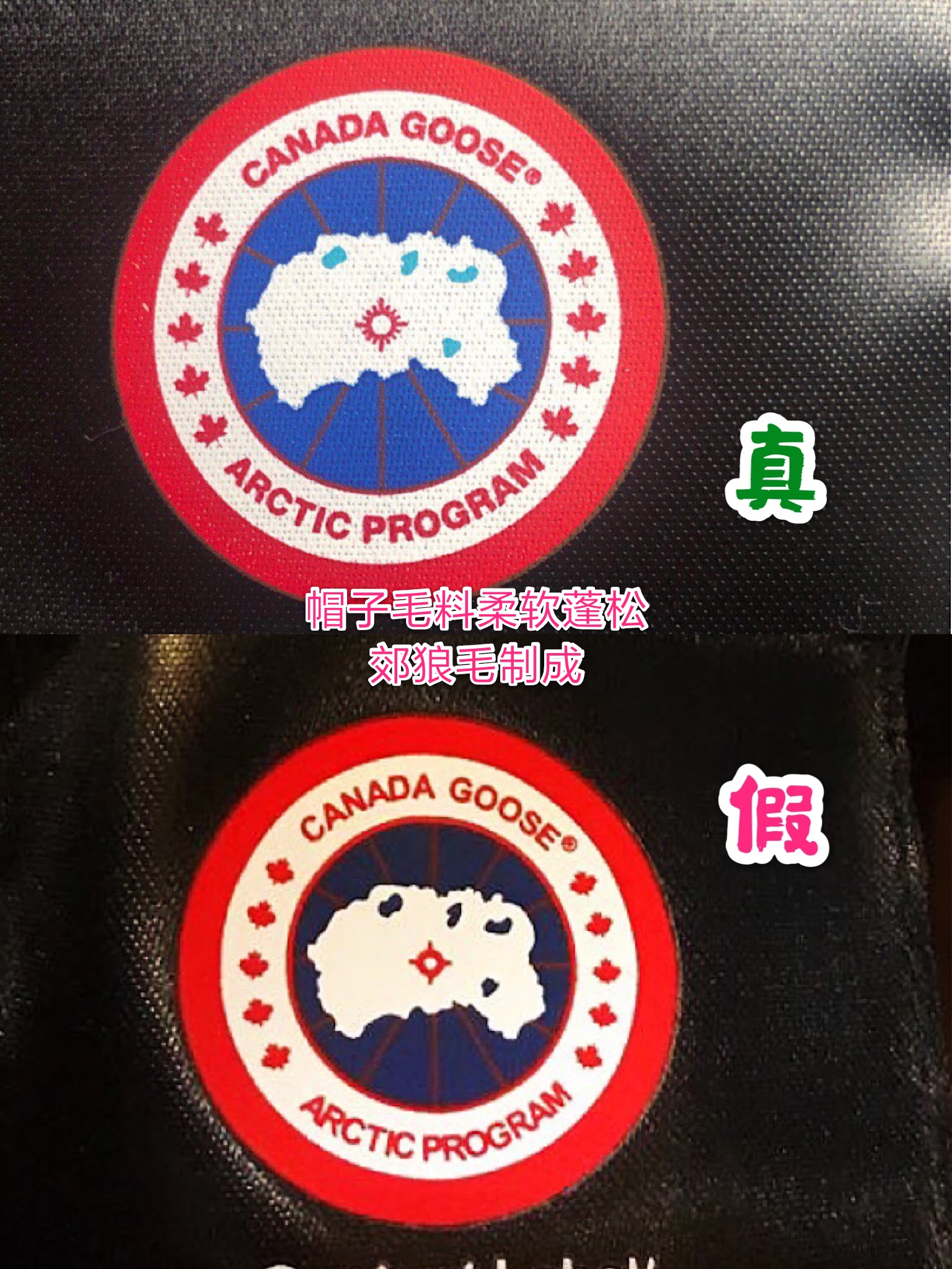 加拿大鹅羽绒服真假鉴定分享