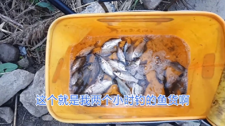 冬季鱼口太轻怎么办?试试这样调七星漂,一抓一个准