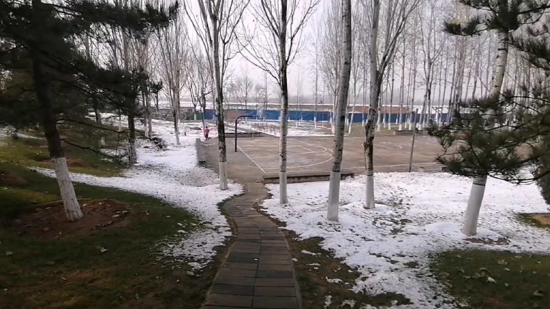 多肉荒棚开荒记(26)今天第一次直播,只有劳动成果,一起看雪景