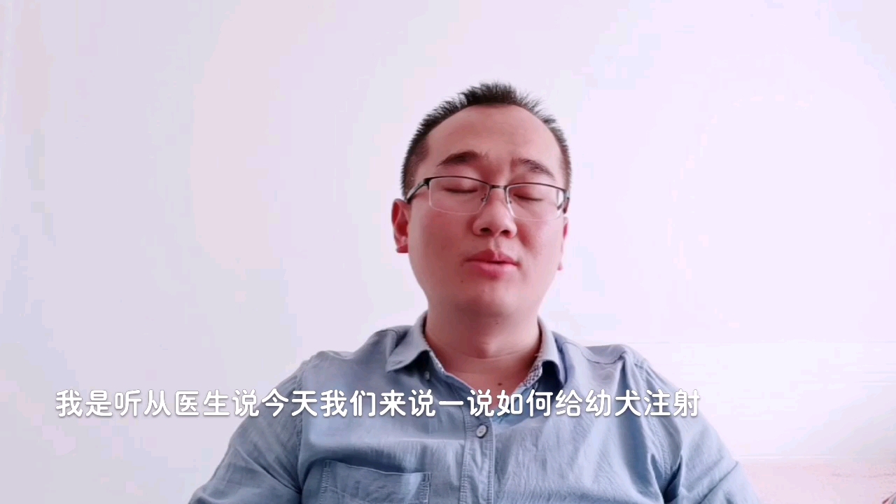 刚买的狗狗如何正确的给它注射疫苗呢?