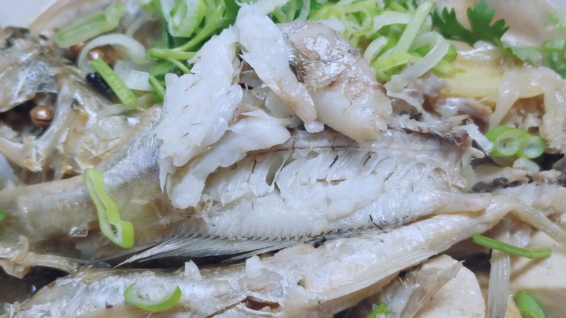 小黄花炖豆腐,鲜香下饭,太好吃了!