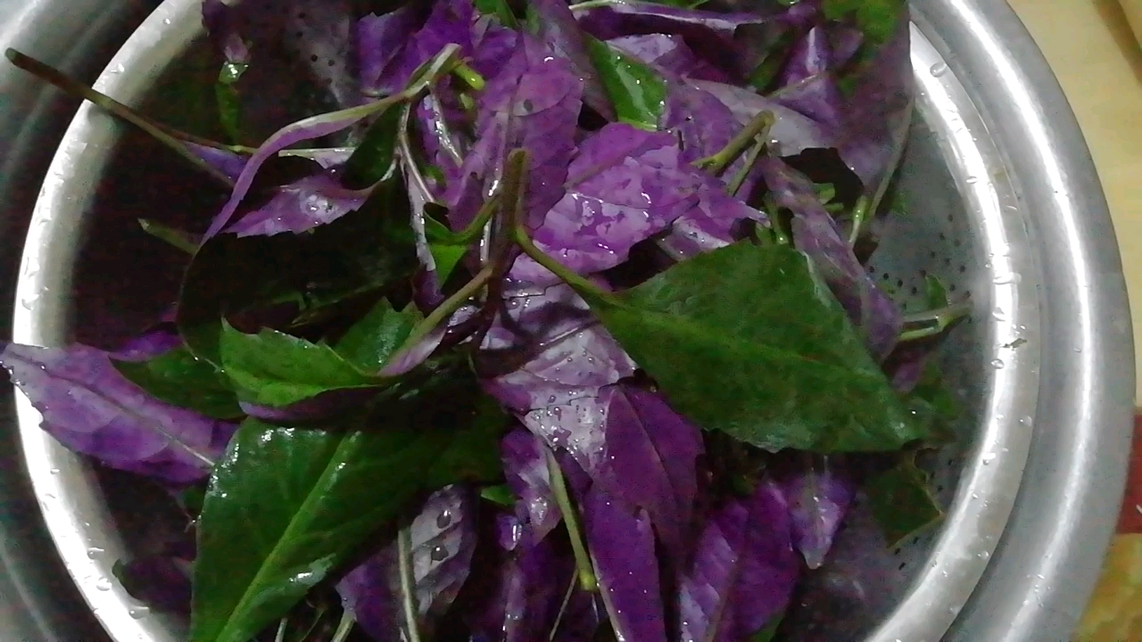 红背菜,观音菜凉拌制作过程,口味不错据说营养丰富含有矿物质