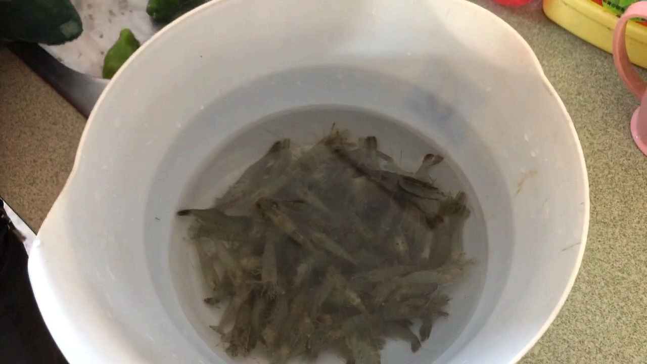 农村挺好,都是自家种的有机蔬菜,只需买点荤菜就行了