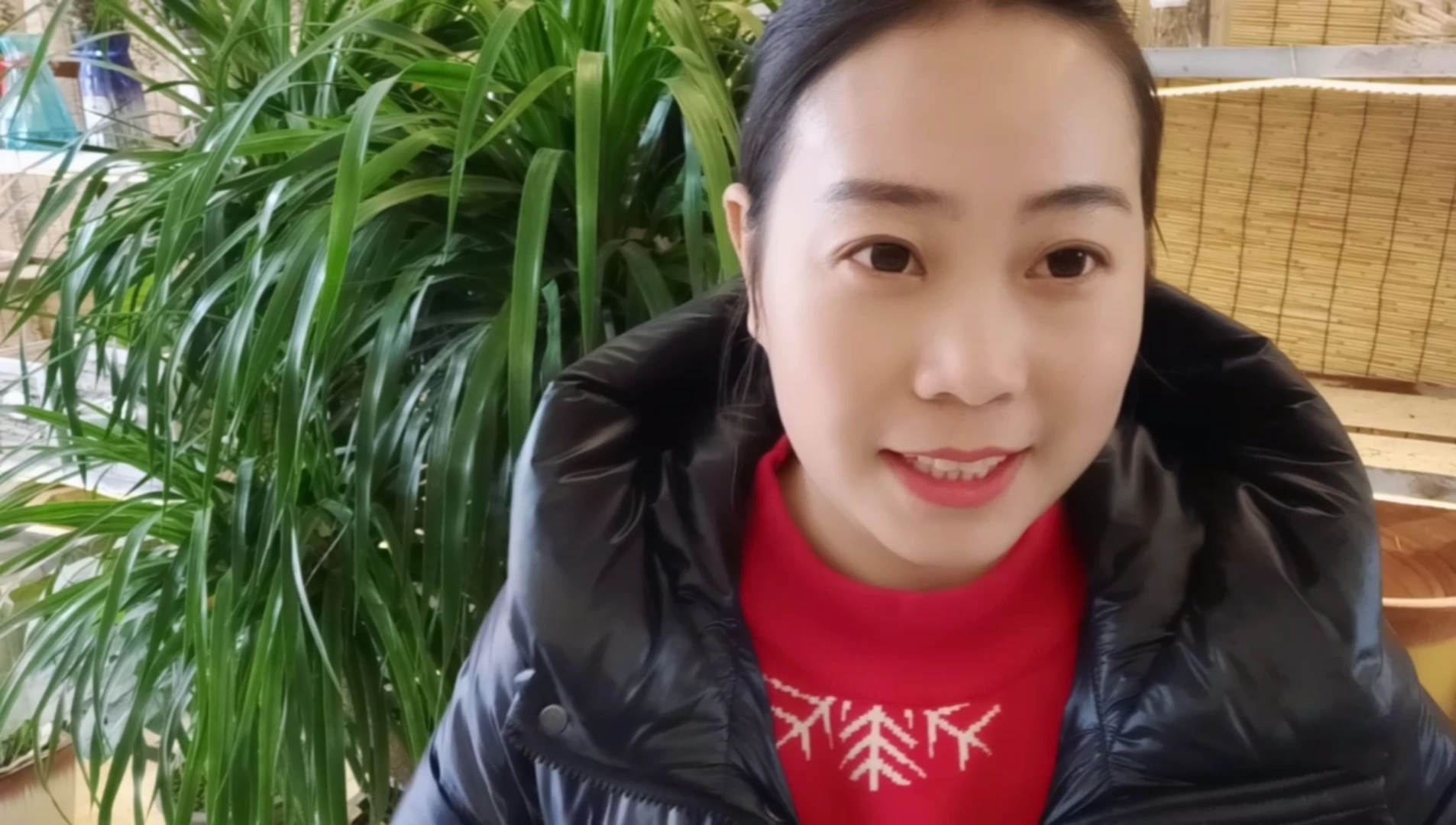 家里养一颗山乌龟原来寓意那么好,那么冬天该如何养护呢