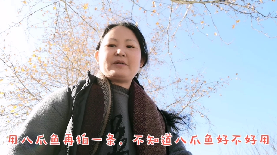 实例演示八爪鱼,在多种场景中的运用,以及拍摄效果