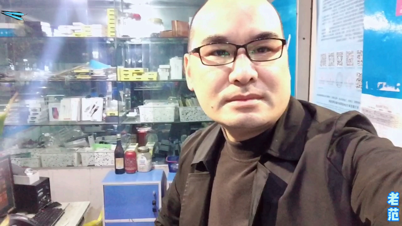 水陆缸里的丝藻已经被控制住了,首当其功的是黑线飞狐