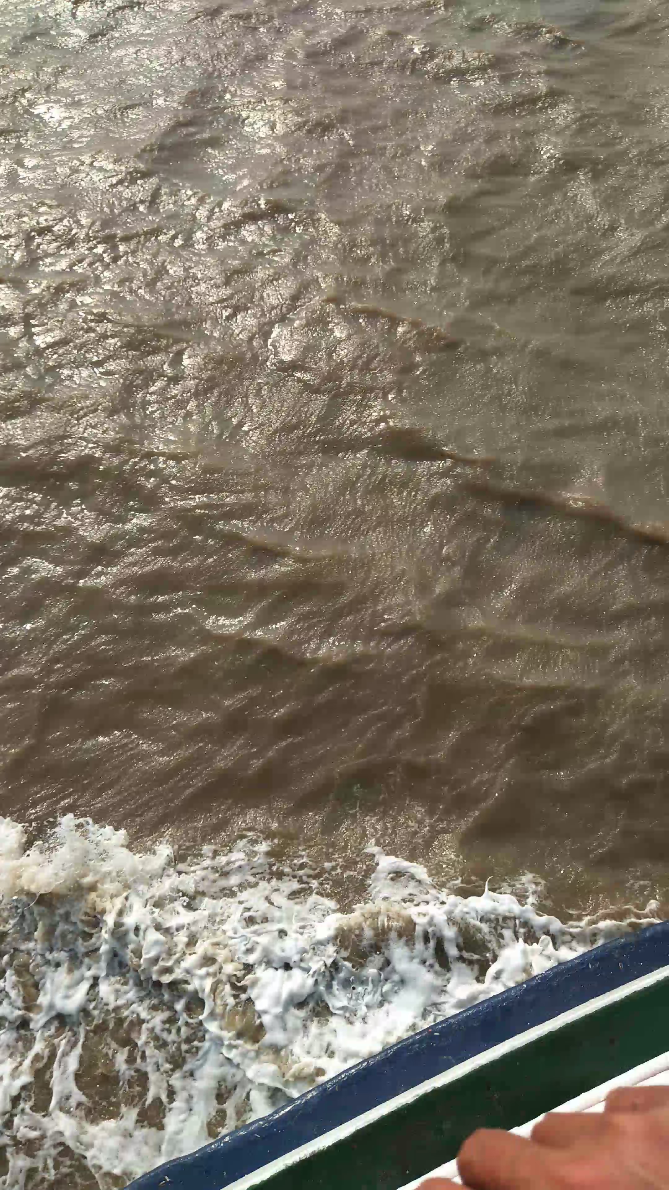 舟山市鱼山岛我来啦!