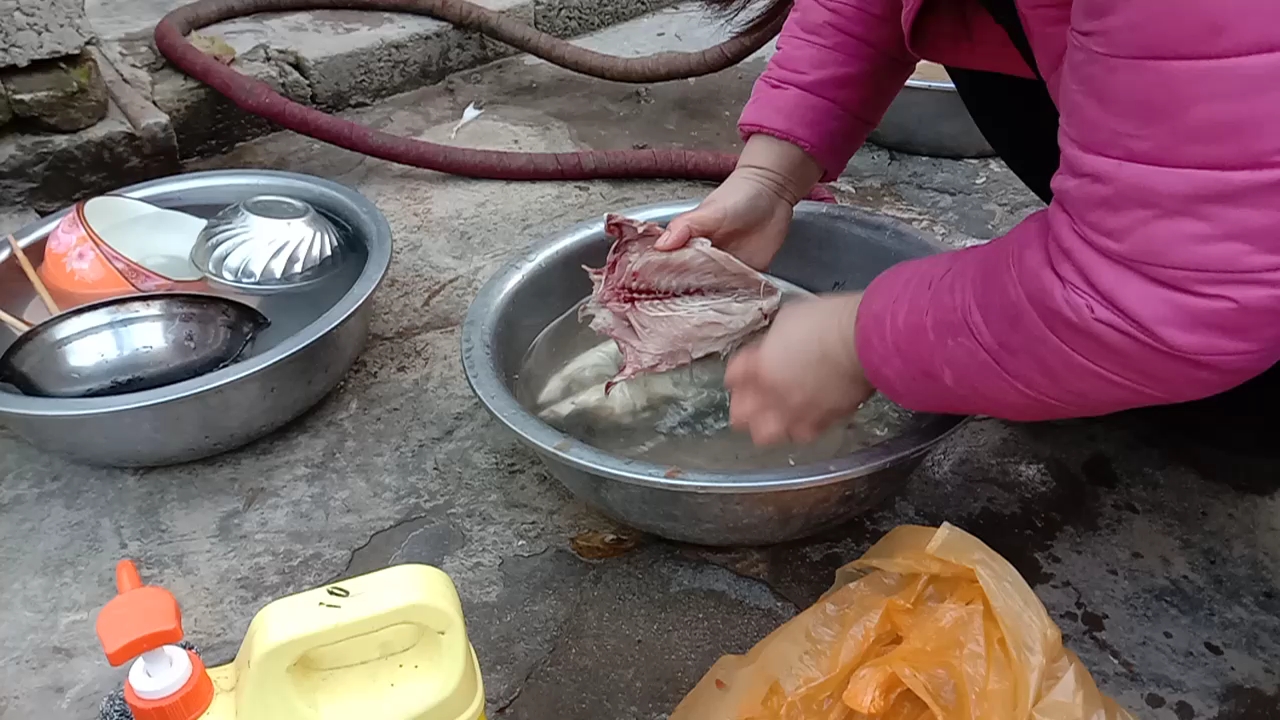 寒冬将至红烧鲅鱼,搭配本地红皮萝卜不腥。懂方言的朋友试一下!