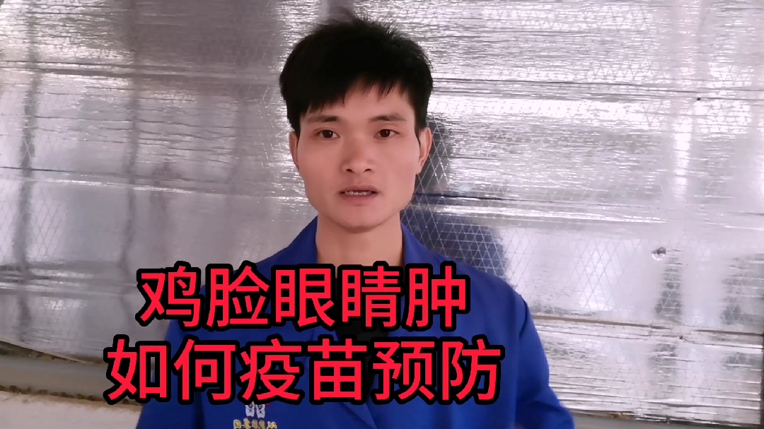 鸡眼睛和脸肿如何正确使用疫苗预防呢?做疫苗时要注意这几点
