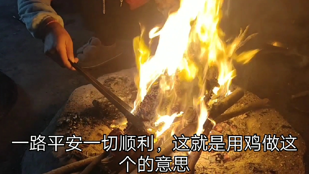 看看彝族家人出去打工是怎么用公鸡做吉祥的,看完你会明白!
