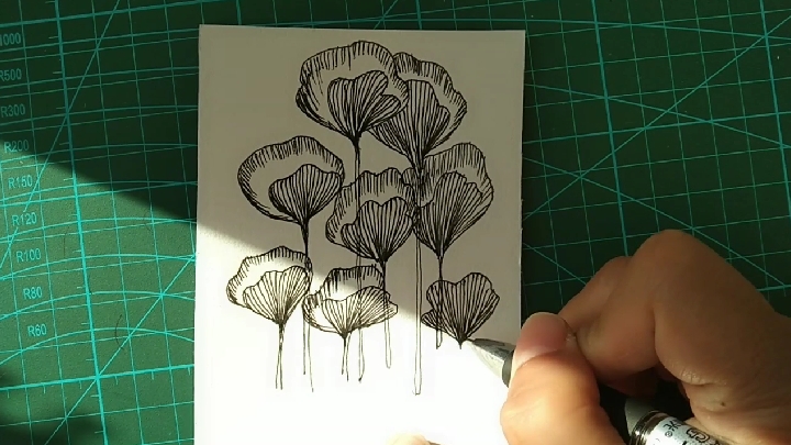 随手画黑白线描手绘小花,积累手帐手抄报素材