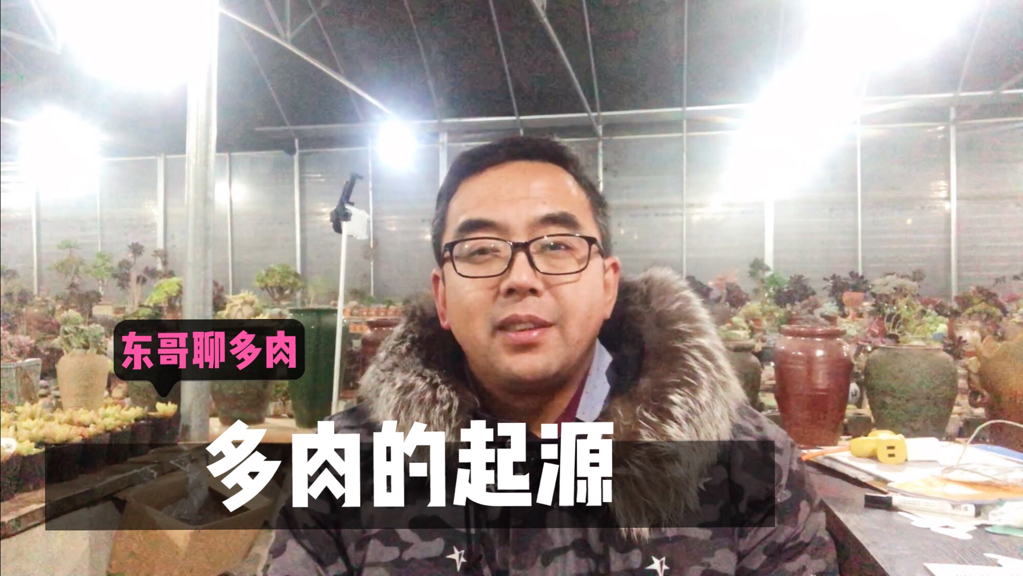 多肉起源在哪里,多肉是如何引入到国内的,日冰韩冰欧紫意思是啥