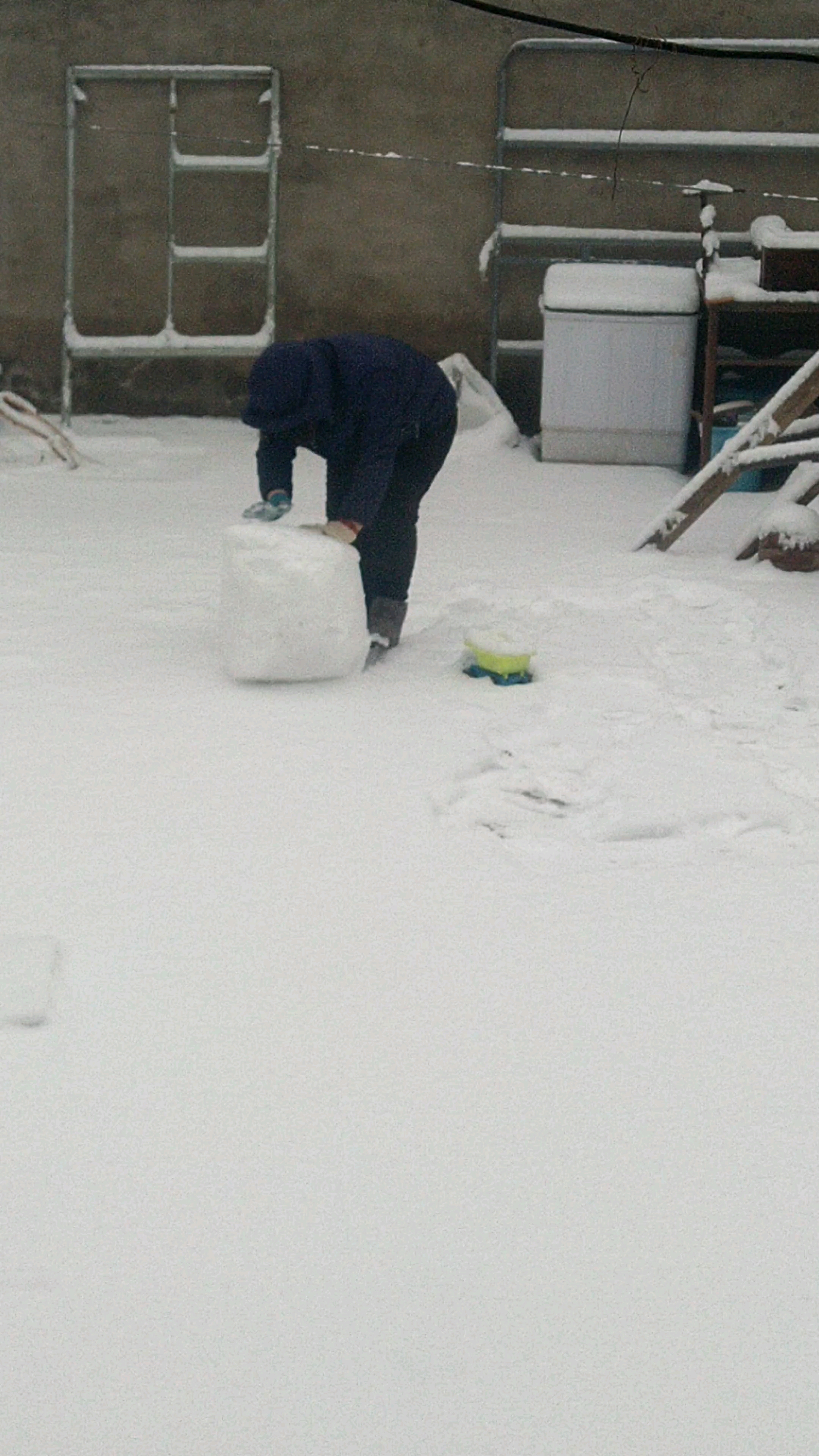 [图]下雪喽!滚雪球!!奶奶都乐了