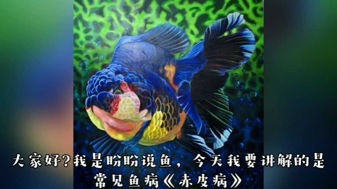 四 赤皮病治疗预防
