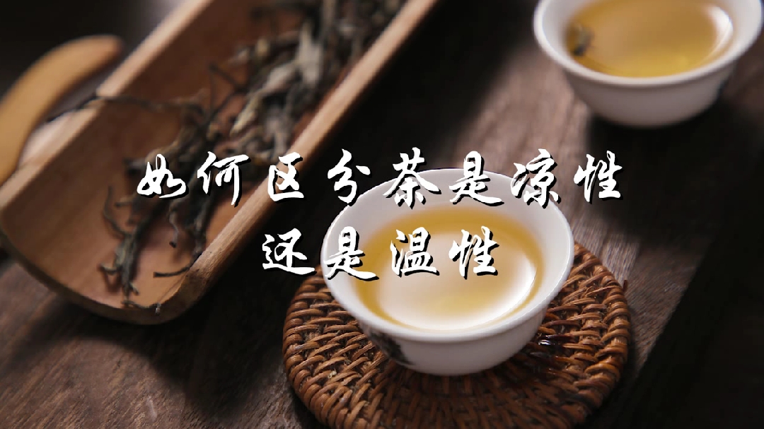 如何区分茶是凉性还是温性