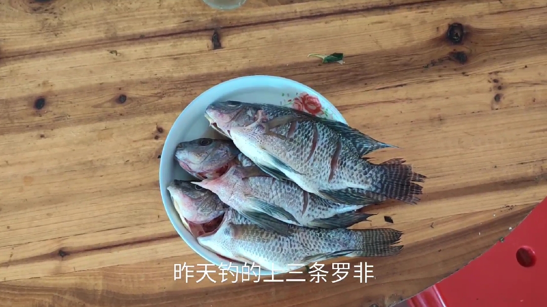 红烧野生罗非鱼,好吃到渣都不剩!