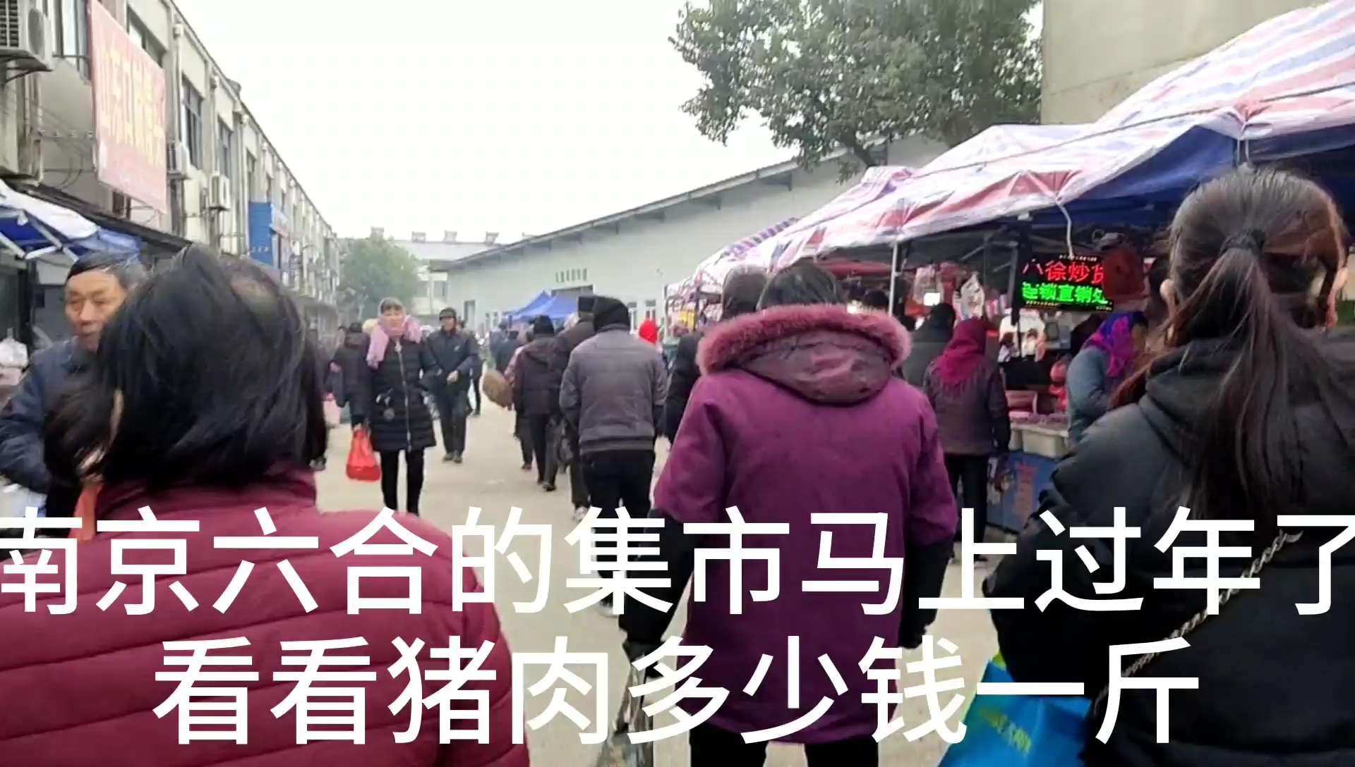 南京六合的集市马上过年了看看猪肉多少钱一斤 看看买的人多不