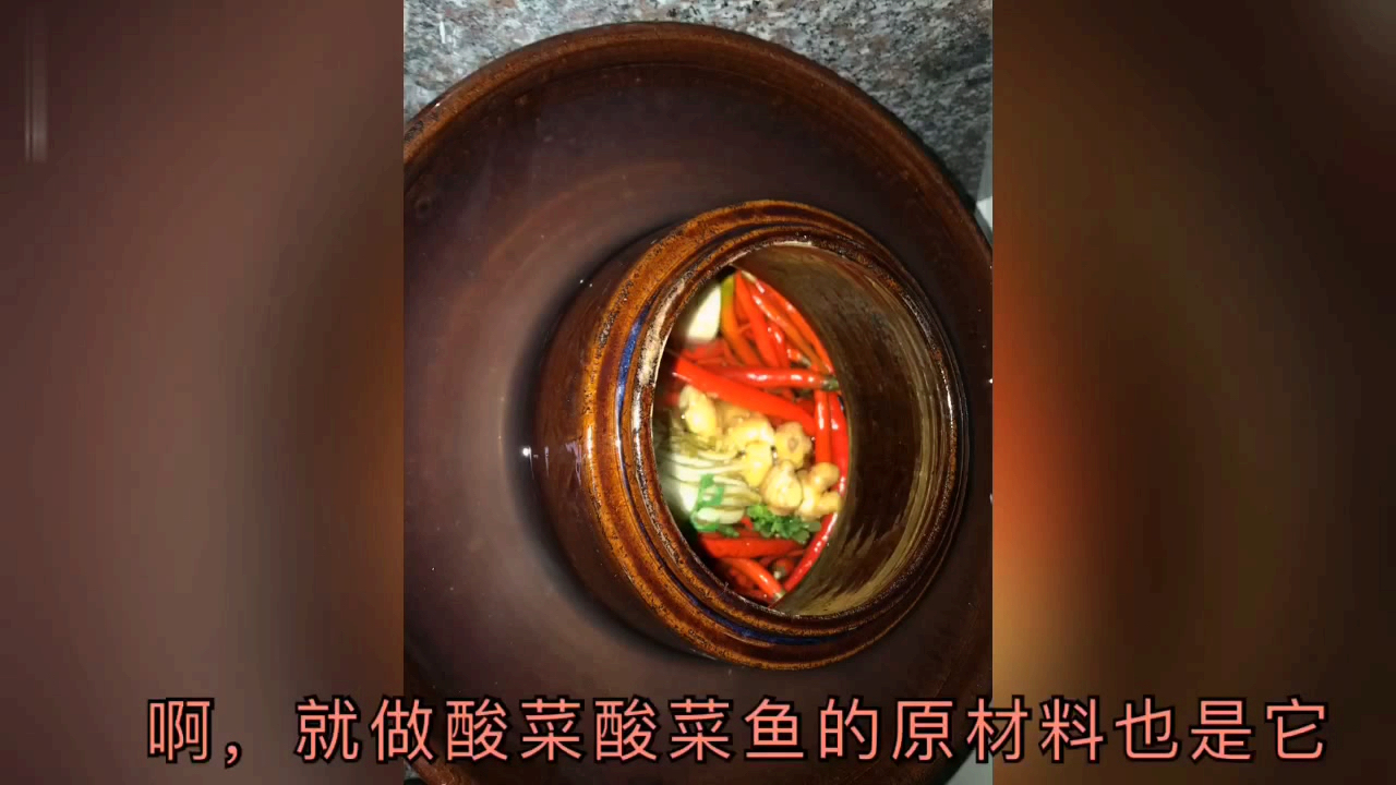 在家自制的泡海椒和泡菜过两天把它拿来做酸菜泡椒爆炒肉丝很温馨