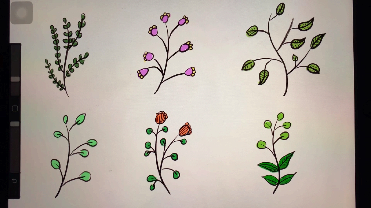 简笔画植物的画法,超级干货教程,适合新手小白,赶紧收藏学习吧