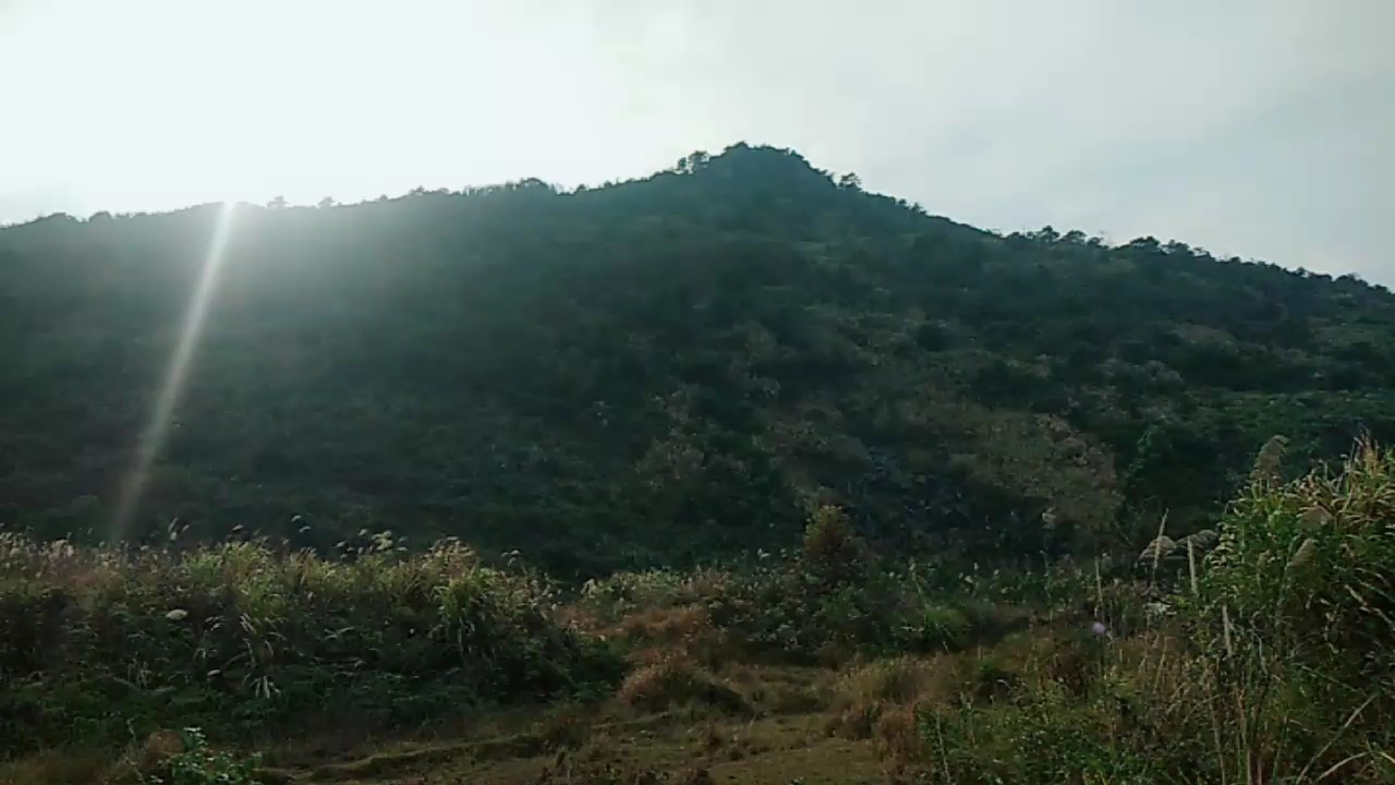 留题风水喝形(雄鸡拍翅:)大富大贵之地,等待修福人。