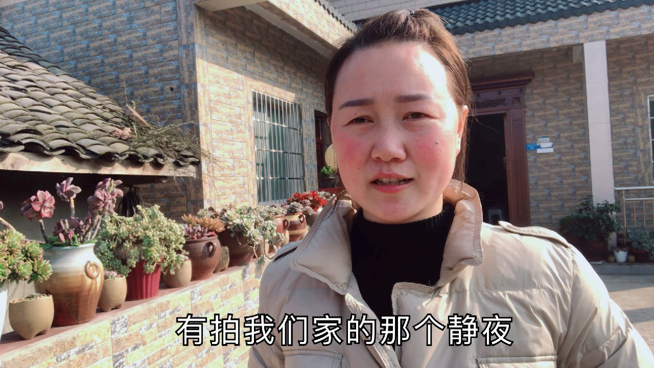 静夜是一个,看了就会爱上的多肉植物,爱了爱了