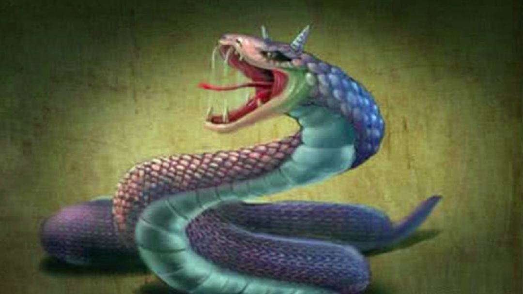梦到被蛇咬伤需要注意什么