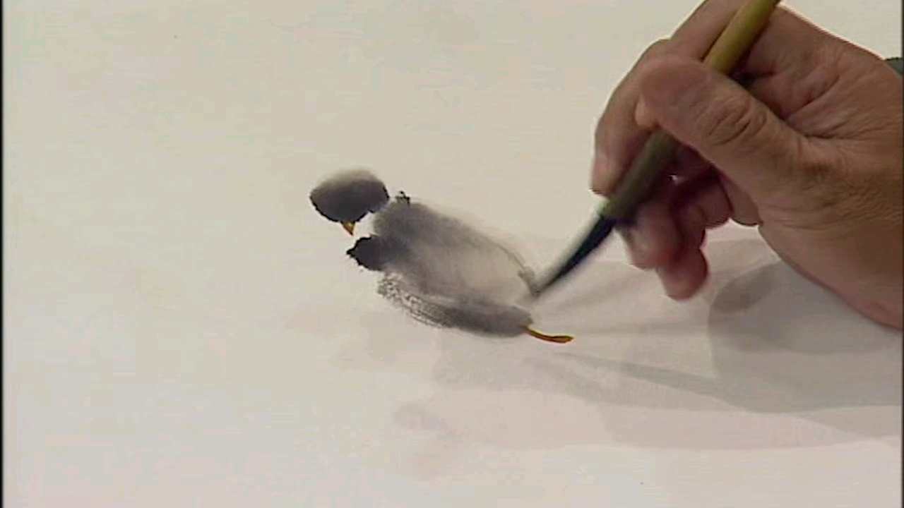 徐湛国画蝴蝶兰画法 国画写意石头画法国画