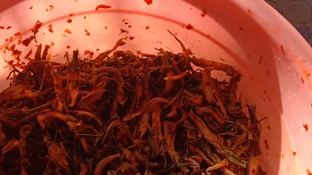 自种绿色有机大头菜
