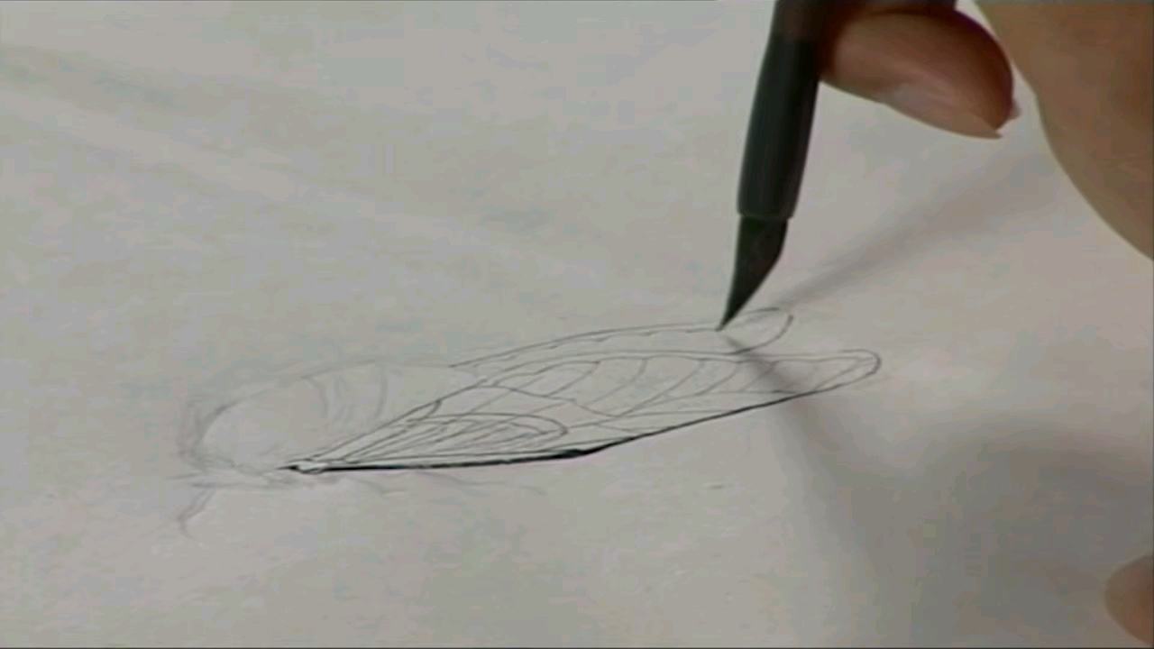 国画工笔画入门视频教程 工笔画虎的技法