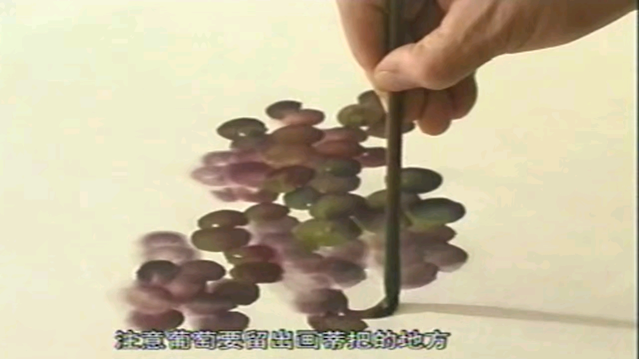 国画树枝干的画法 国画蜻蜓画法大全