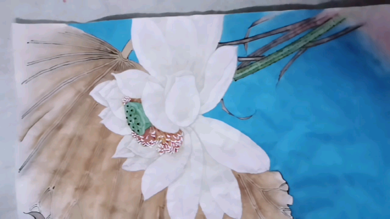 工笔画       荷花