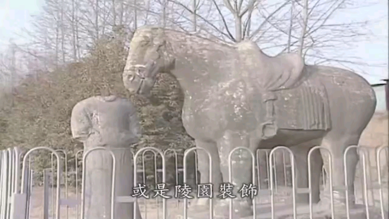 徐湛国画葡萄教学视频 水墨画牡丹国画视频