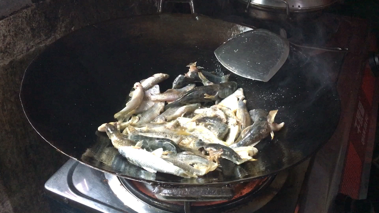 【今天的鱼不常见】做了一个干锅小鱼和萝卜烧虾,吃的过瘾!