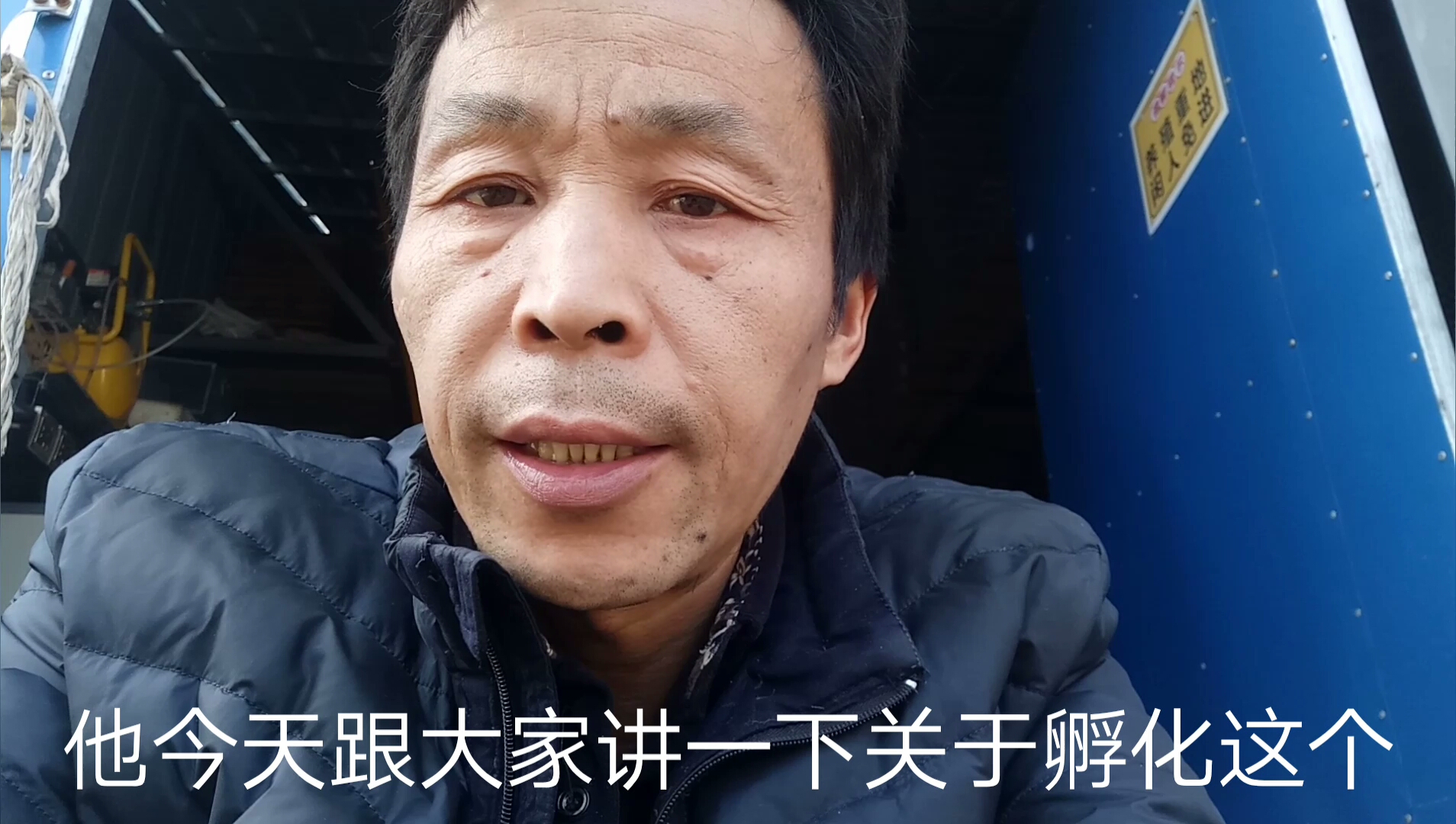 番鸭苗出壳率低,一招就搞定!首先要注意的是什么?