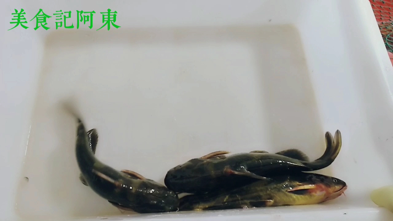 浙江当地的吃法,红烧汪刺鱼,大厨倾囊相授