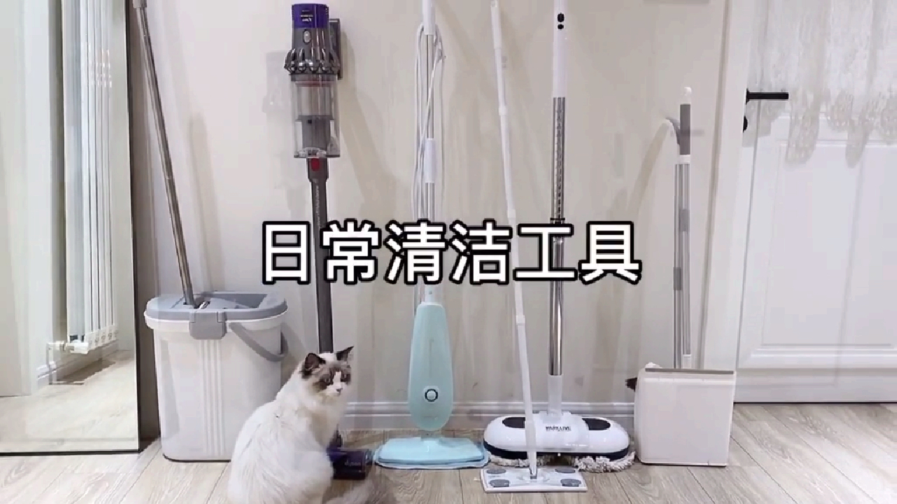 习惯每天给家里打扫的干干净净,清洁工具只要选对了,打扫卫生也