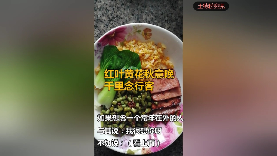 豆角炒饭青菜:红叶黄花秋意晚,千里念行客!来代替:我好想你呀