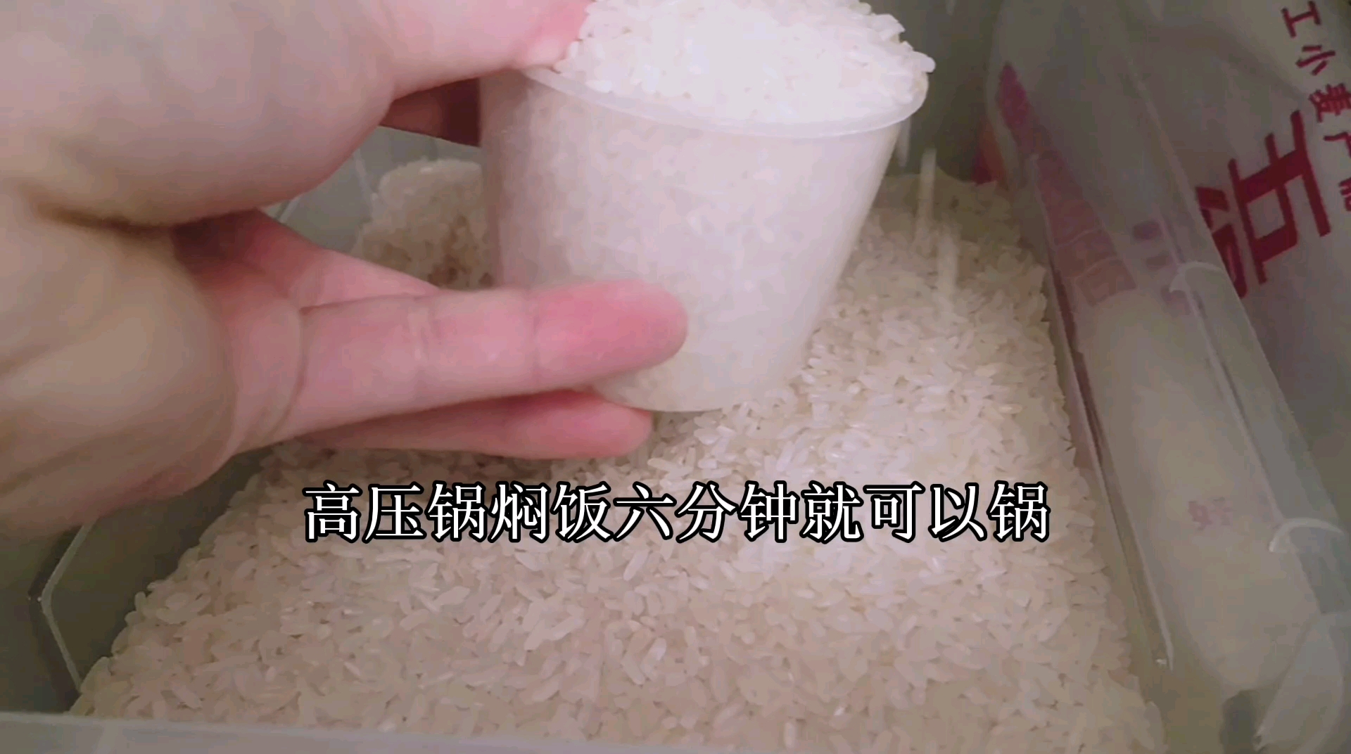 高压锅煮好饭,六分钟就搞定,大米颗颗喝饱水,软糯弹牙
