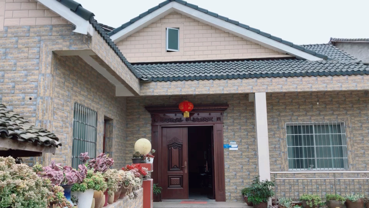 一个小院,满院多肉,来看看有你喜欢的品种吗?