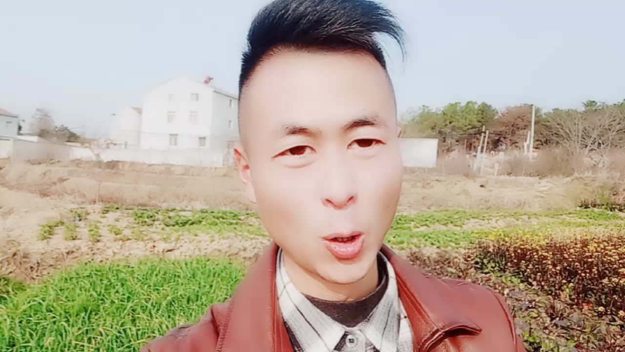 这是什么菜,是芹菜?错,它是_地菜。