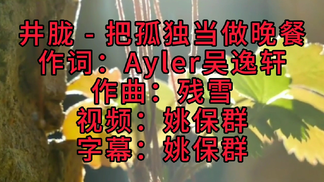 井胧的一首《把孤独当做晚餐》,凄凉的情歌,唱出了伤感而又无奈