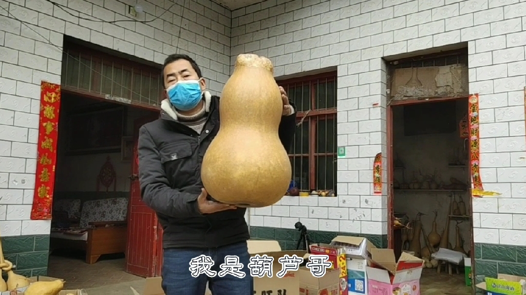 河南农家小院拥有上百个葫芦品种,家里葫芦堆积如山