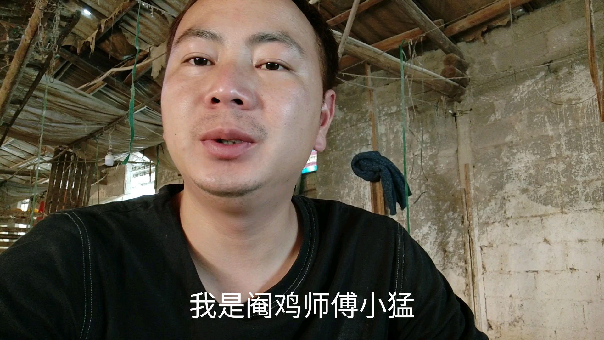 阉鸡我们是专业,去到那里住那里,阉鸡行业好还是不好