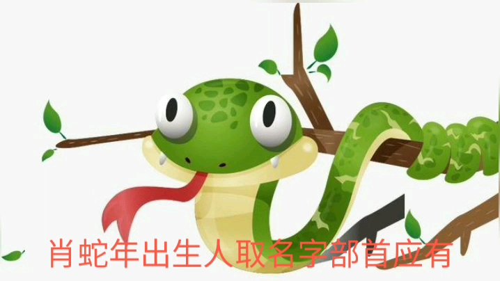 2013蛇宝宝男孩名字_百度视频搜索