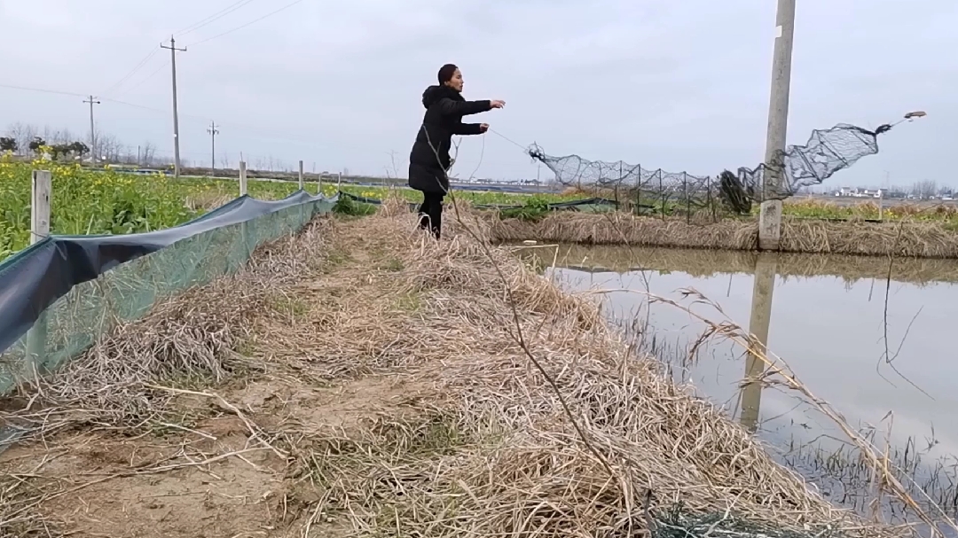 2020年龙虾养殖,春季下地笼捕大虾应该使用大网眼的地笼!