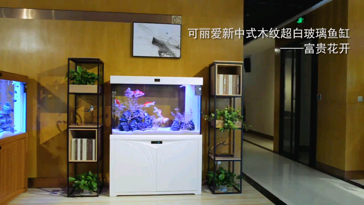 现代家具首先一鱼缸