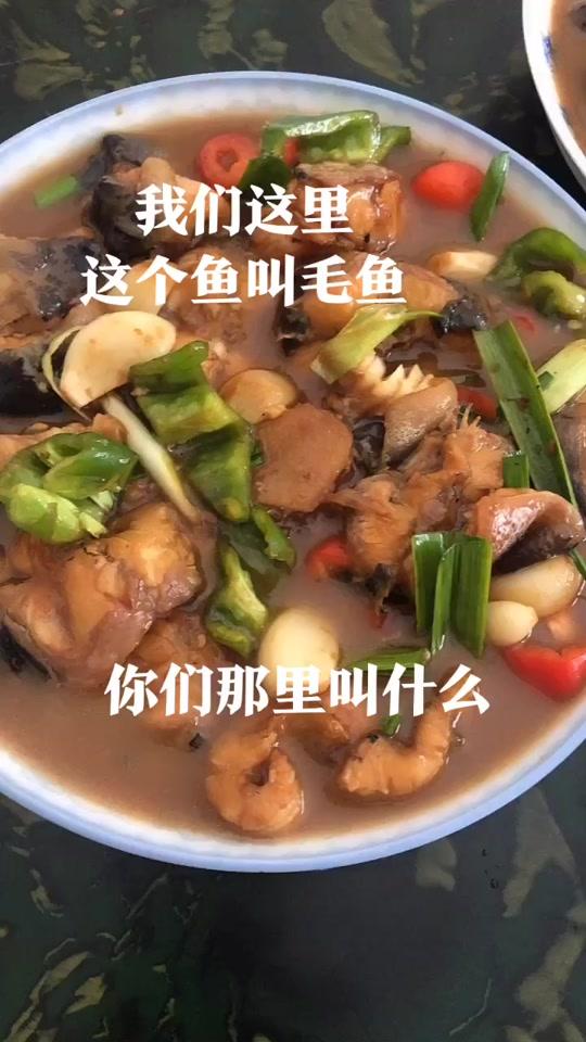 我们这里这鱼叫毛鱼,你们那里叫什么?