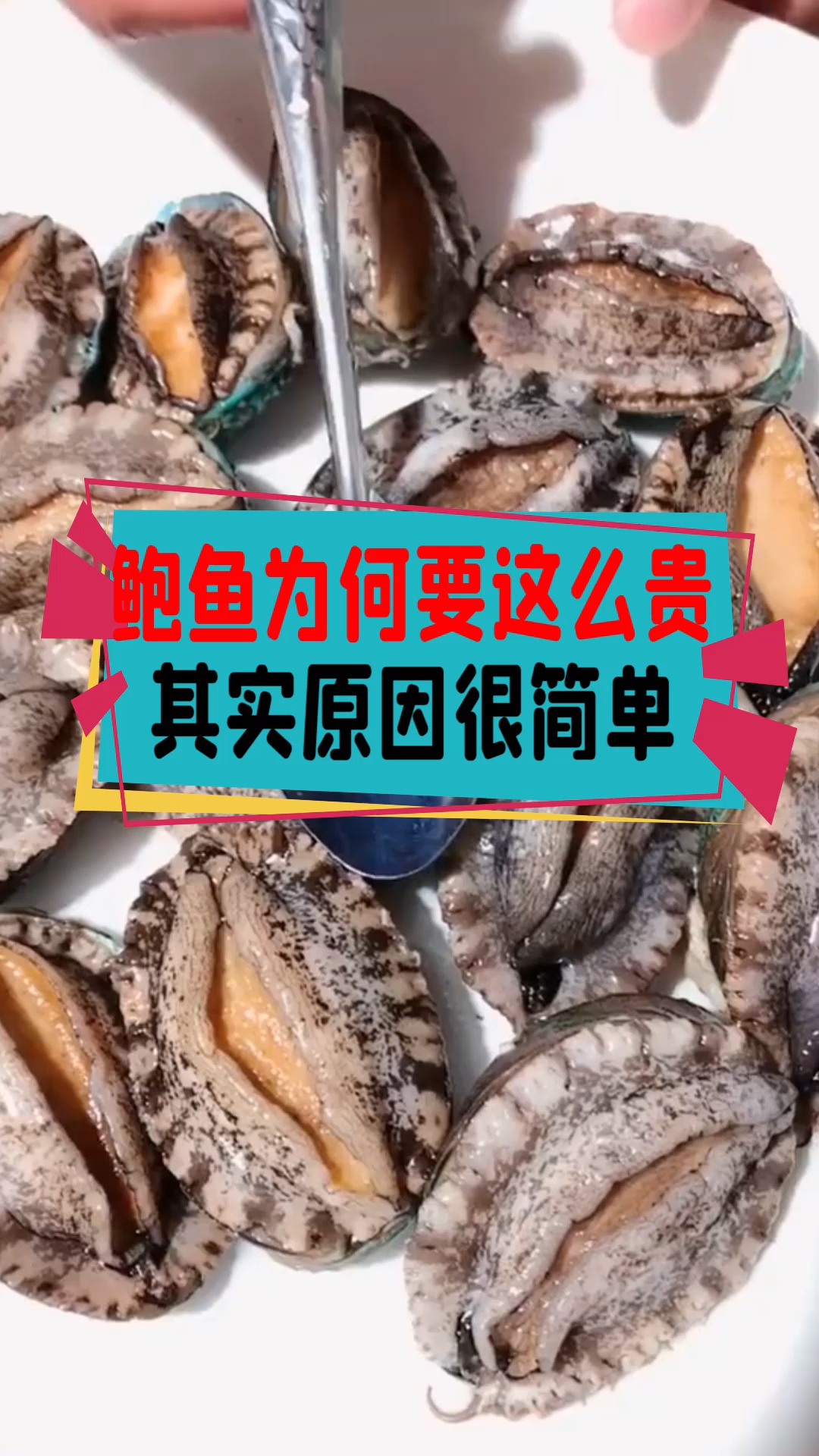 #奇闻趣事#鲍鱼为什么这么贵?看完就知道了