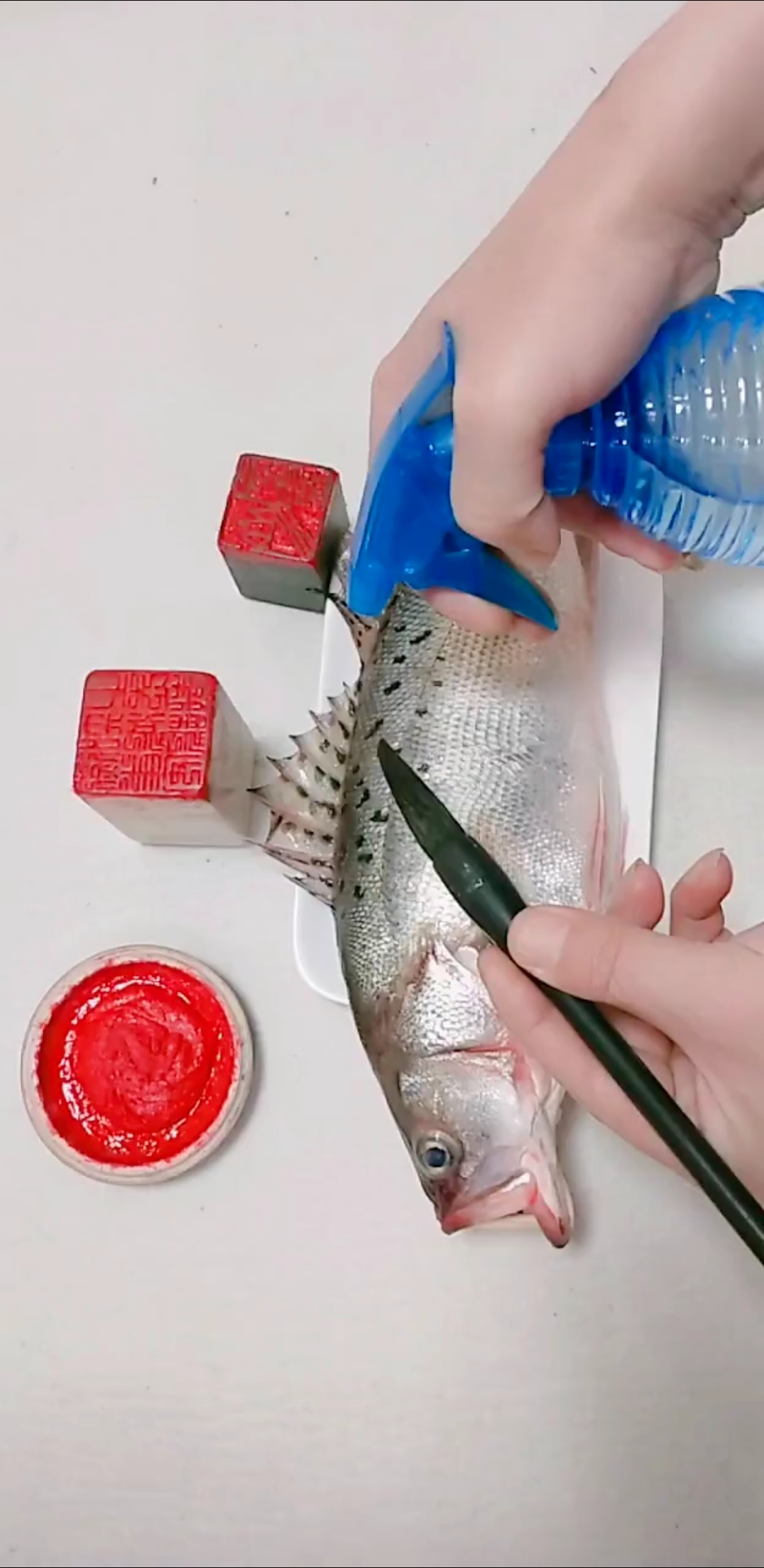 #我要上热门#怎样画鲈鱼呢?